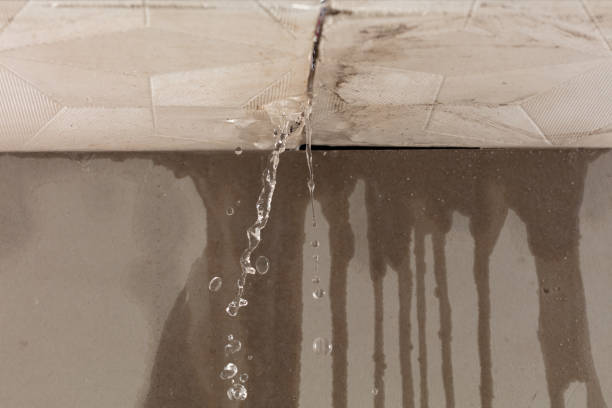 Professional Water Damage Inspection technician working in Hankamer, TX
